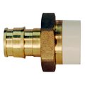 Apollo Expansion Pex 1/2 in. Brass PEX-A Barb x 1/2 in. CPVC Straight Adapter EPXCPVC12